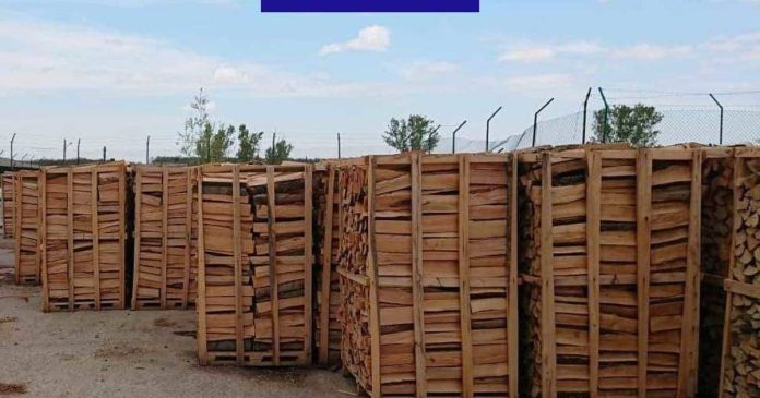 dosar-penal-pentru-firma-bihoreana-acuzata-de-delict-silvic