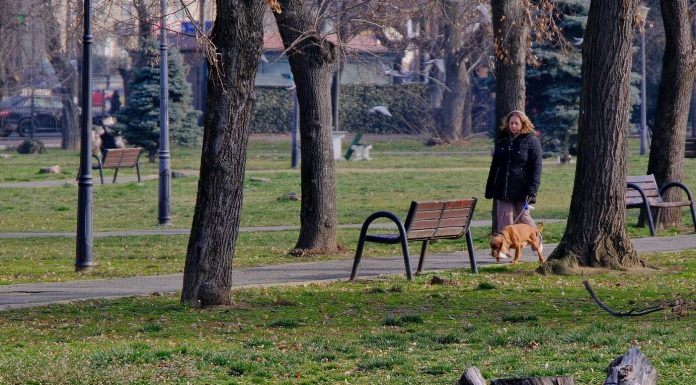 e-timpul-sa-ne-imbracam-gros-temperaturile-scad-in-bihor