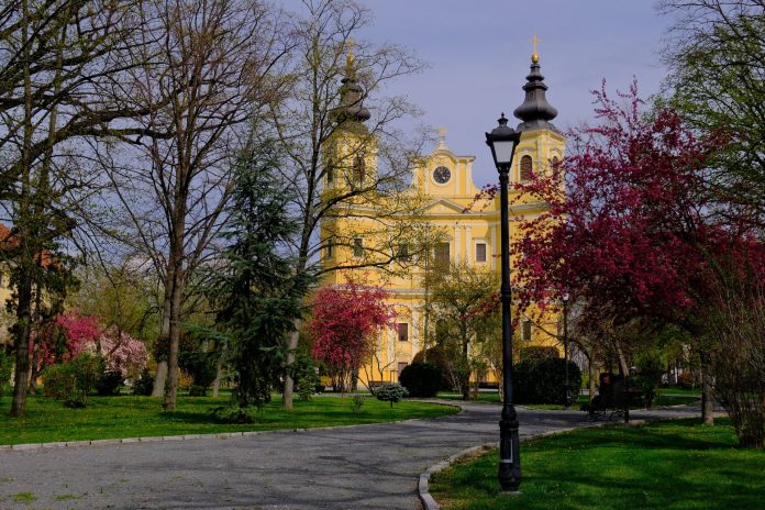 celebrari-liturgice-in-catedrala-romano-catolica-din-oradea