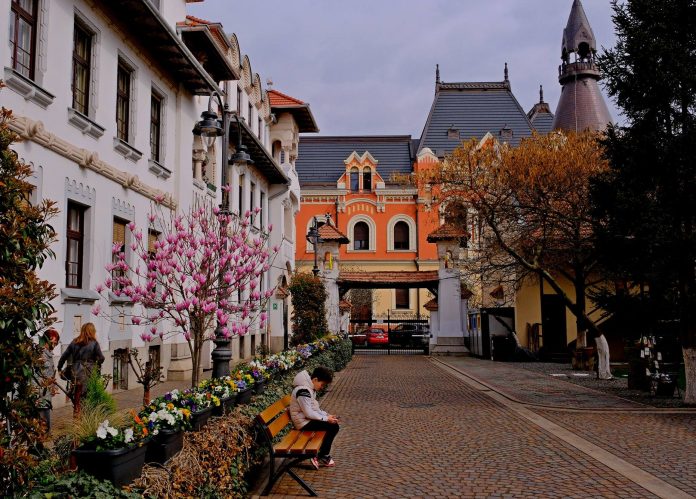 oradea-job-expo-concert-celelalte-cuvinte-si-meciuri-sportive