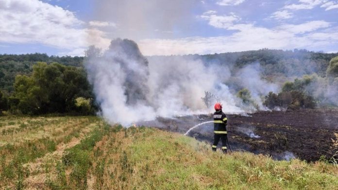 cinci-incendii-de-vegetatie-in-bihor-isu-avertizeaza