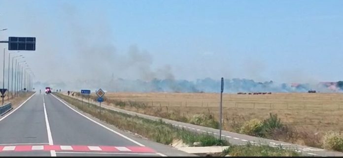 incendiu-de-vegetatie-in-nojorid-2-hectare-ars