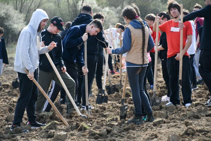 campania-bihorul-planteaza-continua-67-hectare-vor-fi-impadurite