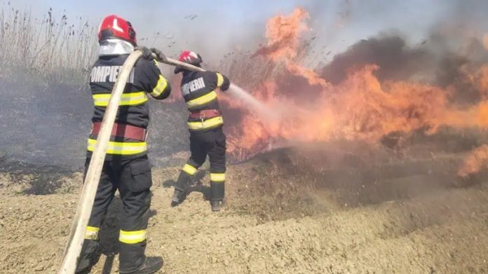 incendiu-de-vegetatie-in-batar-barbat-ars-grav