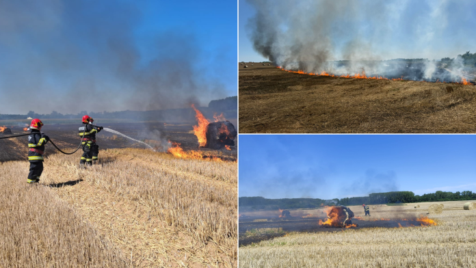 incendiu-in-valea-lui-mihai-flacarile-au-distrus-baloti-de-paie