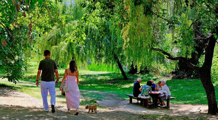 ce-activitati-sunt-in-weekend-la-oradea