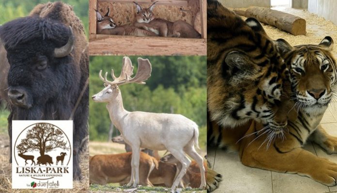 liska-zoo-park-by-due-fratelli-se-deschide-duminica