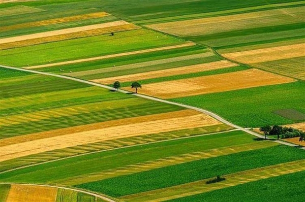titluri-de-proprietate-pentru-terenurile-neintabulate-bulz