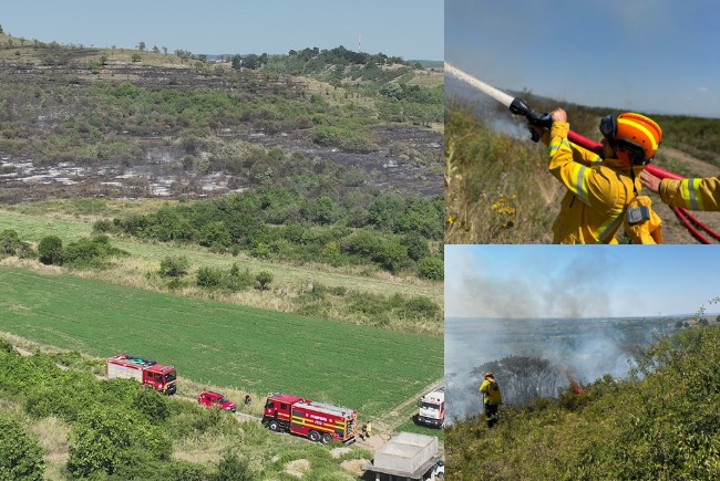 incendiu-de-vegetatie-in-lugasu-de-sus-pagube-mari