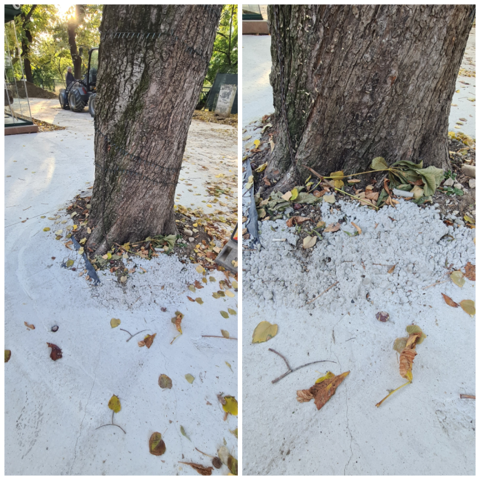 Betonare urmată de amenajare în reabilitarea Parcului Libertății