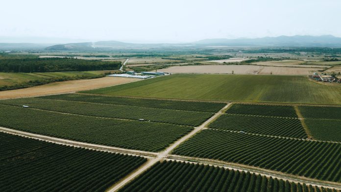 oradea-job-expo-agricrafters-cauta-angajati-pentru-viitorul-agriculturii
