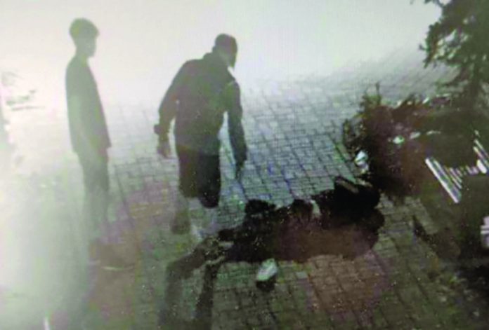 Tânăr din Oradea, acuzat de tâlhărie, eliberat