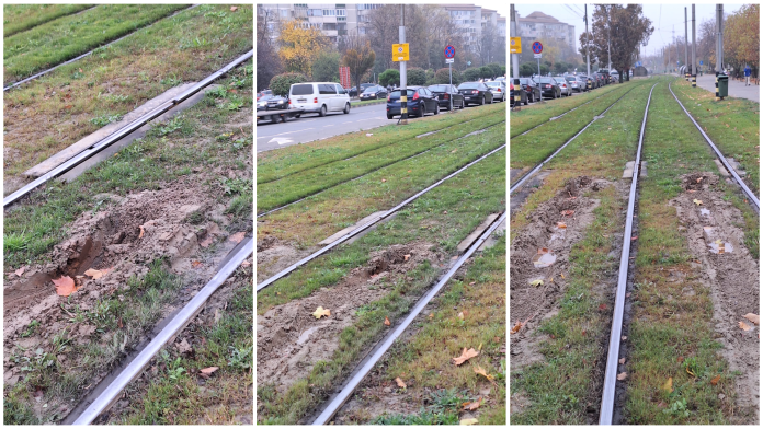 Bizon pe patru roți. Zona înierbată a tramvaielor din Rogerius distrusă.