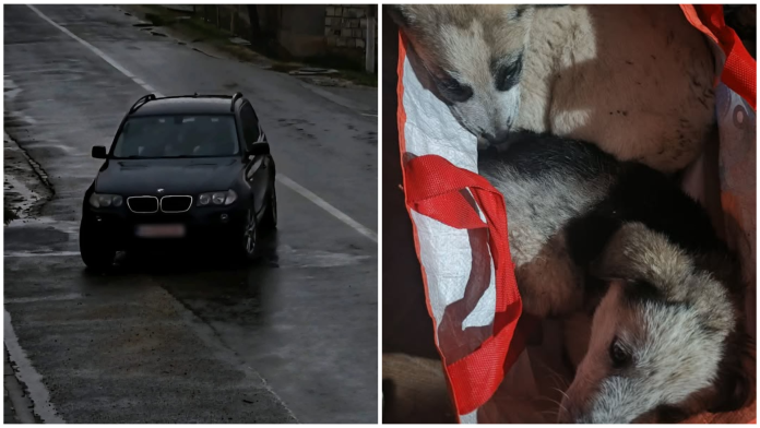 Camerele de supraveghere l-au prins pe bihorean.