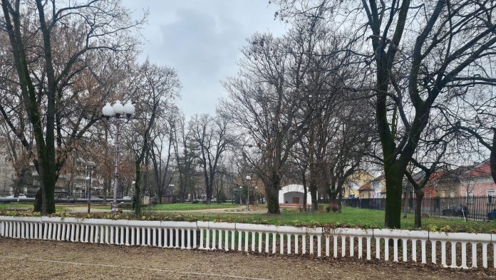 În parc Bălcescu se taie 90 copaci, se plantează 100.