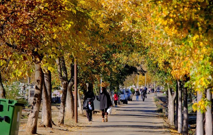 Weekend de noiembrie cu temperaturi de primăvară