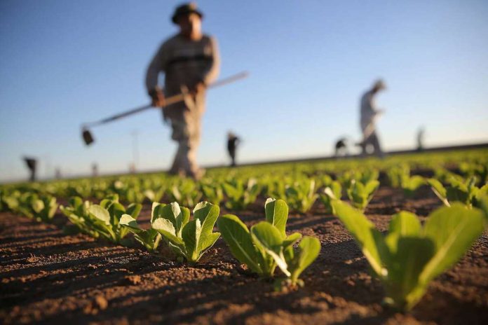 Agricultorii din zonele necooperativizate pot intra în pensii publice