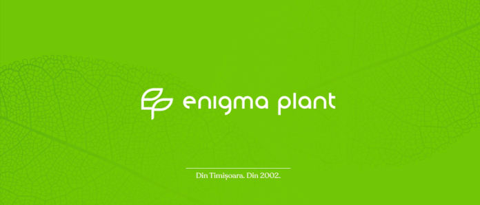 De la tradiții la inovație: parcursul Enigma Plant!