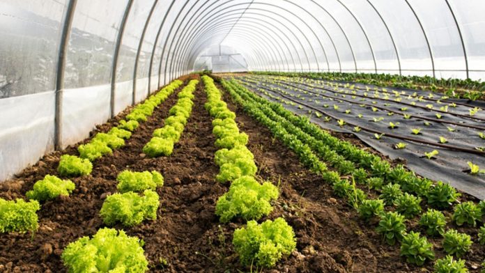 Taxa retrasă care a provocat revoltă în agricultură