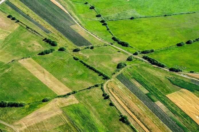 Comisia Județeană pentru Stabilirea Dreptului de Proprietate Bihor a administrat contestații și litigii în aproape 600 de situații.