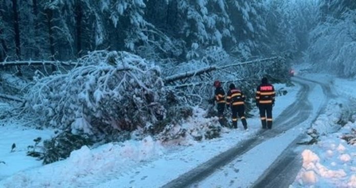 Zi plină pentru pompierii bihoreni: copaci și stâlpi deteriorați