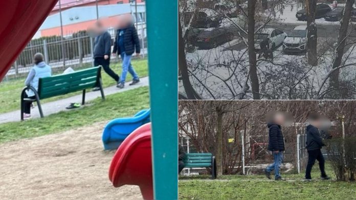 Cartierul Rogerius în teroare: copil hărțuit în parc, bărbat agresat pe stradă. Ce declară IPJ Bihor