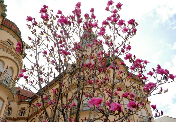 Ce activități avem astăzi, 11 februarie, în Oradea?