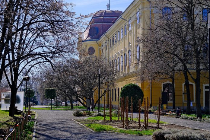 Prima decadă a lunii martie aduce zile însorite și temperaturi mai mari decât cele obișnuite pentru această perioadă.