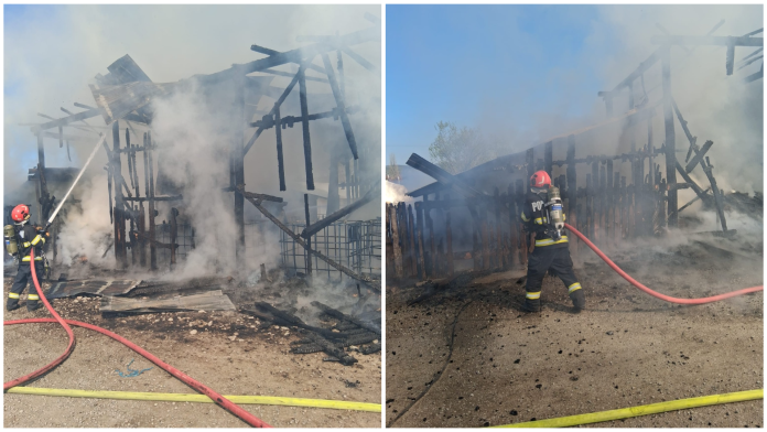Incendiu la o stână din Șinteu. 15 iezi au pierit.