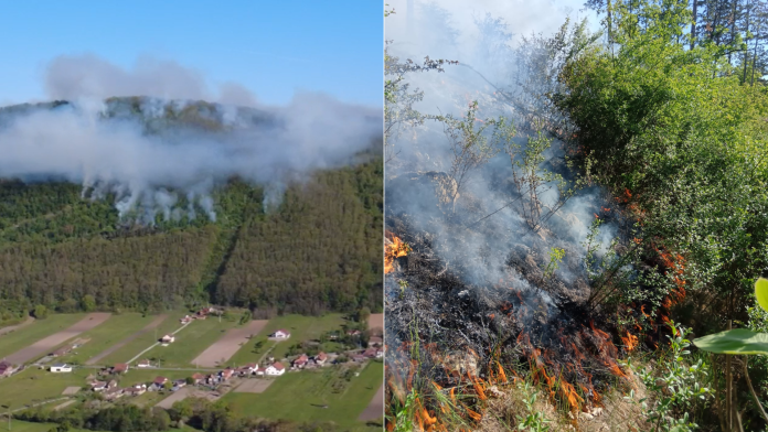 Incendiu pe un deal împădurit între Șuncuiuș și Vadu Crișului. Intervenția pompierilor a fost dificilă.