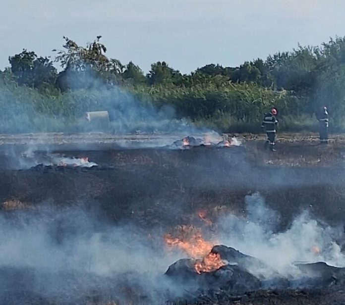 Incendiu în localitatea Ateaș: Au fost distruși mai mulți baloți de paie și trei hectare de miriște.