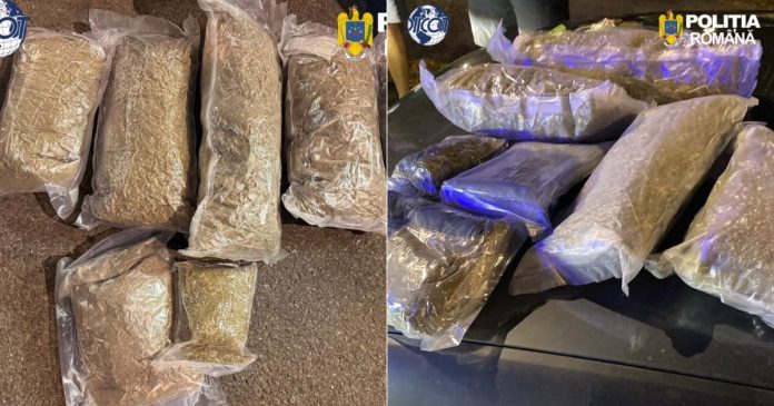 Captură de droguri în Nojorid: Trei tineri prinși transportând 5 kilograme de canabis Captură de droguri în Nojorid: Trei tineri prinși transportând 5 kilograme de canabis