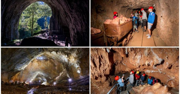 Elevii explorează Peștera Meziad și Peștera cu Cristale din mina Farcu