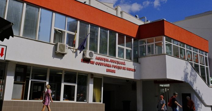 Nouă posturi vacante la AJOFM Bihor, ocupabile doar prin transfer la cerere Nouă posturi vacante la AJOFM Bihor, ocupabile doar prin transfer la cerere