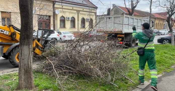 Orădenii scapă gratuit de frunze și crengi. Program de curățenie pe cartiere