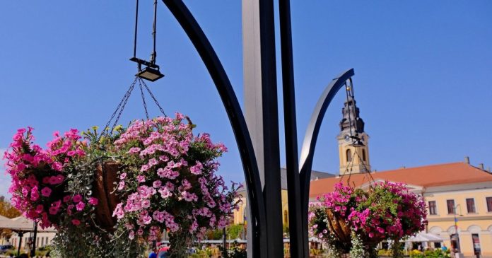 Programul zilei de luni, 9 septembrie, în Oradea