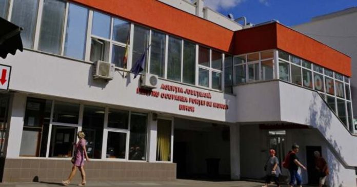 Rata șomajului în Bihor a ajuns la 2,12%. Datele AJOFM despre cei peste 5.000 de șomeri Rata șomajului în Bihor a ajuns la 2,12%. Datele AJOFM despre cei peste 5.000 de șomeri