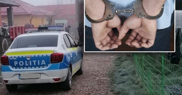 Tânăr de 19 ani, închis după ce a furat bradul de Crăciun și parfumuri din două case