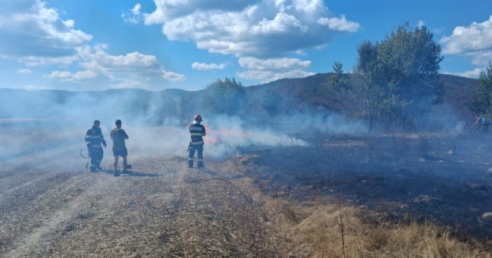 Trei incendii de vegetație în Bihor; pompierii au intervenit în mai multe localități