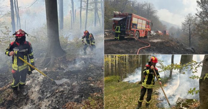 Bihor: 760 de incendii de vegetație în 2026, terenuri reaprinse