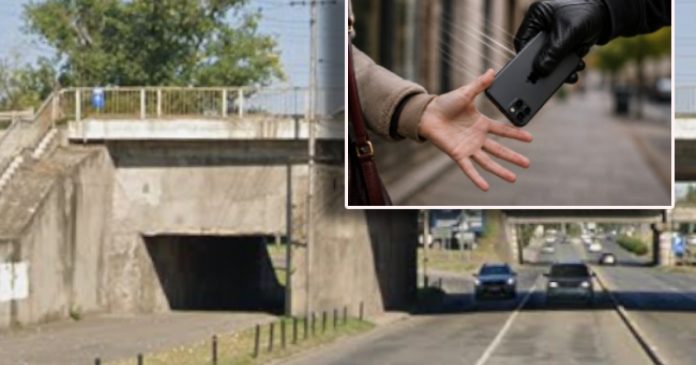 Tâlhar de pe Calea Borșului, condamnat la 3 ani și 6 luni pentru jaf