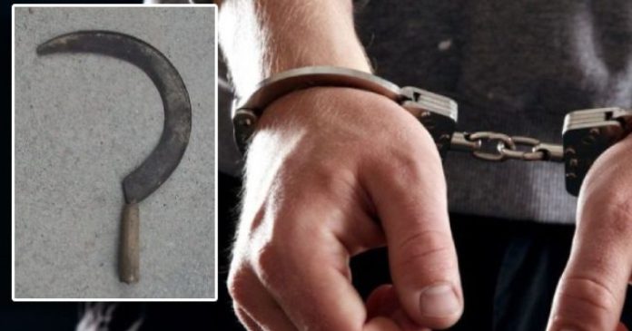 Tânăr explică atacul cu secera: victima ar fi făcut gesturi obscene mamei lui Tânăr explică atacul cu secera: victima ar fi făcut gesturi obscene mamei lui
