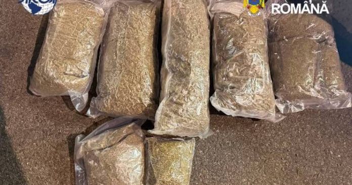 Trei tineri depistați în Nojorid cu cinci kilograme de canabis, trimiși în judecată